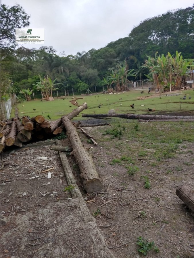 Fazenda à venda com 2 quartos, 3139m² - Foto 13