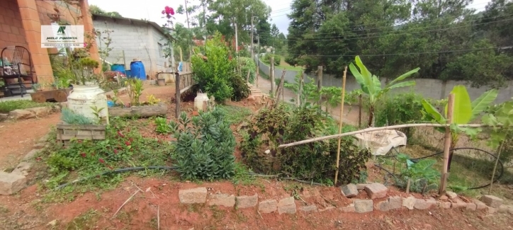 Fazenda à venda com 2 quartos, 1800m² - Foto 6