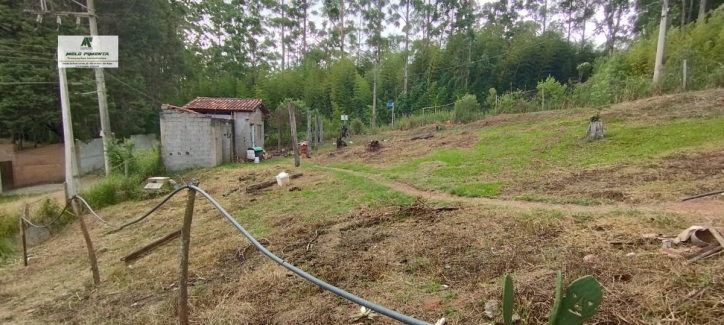 Fazenda à venda com 2 quartos, 1800m² - Foto 7