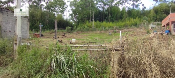 Fazenda à venda com 2 quartos, 1800m² - Foto 8