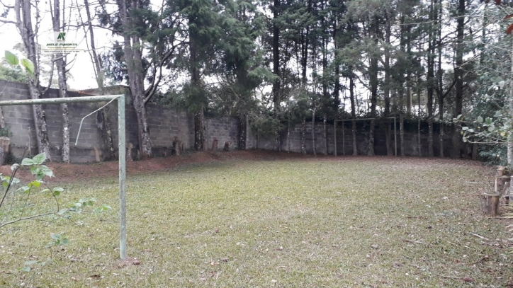 Fazenda à venda com 2 quartos, 6000m² - Foto 17