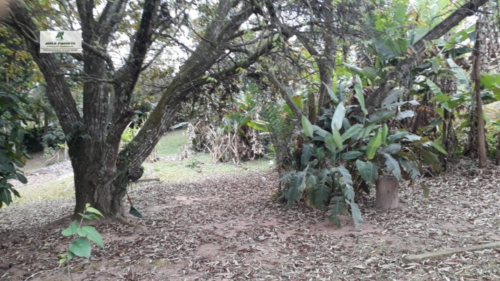 Fazenda à venda com 2 quartos, 6000m² - Foto 18