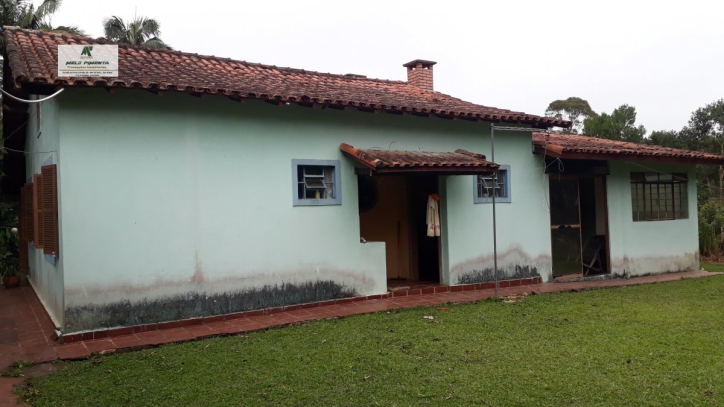 Fazenda à venda com 2 quartos, 6000m² - Foto 19