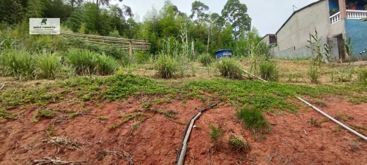 Fazenda à venda com 2 quartos, 1800m² - Foto 11