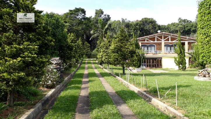 Fazenda à venda com 4 quartos, 55000m² - Foto 3