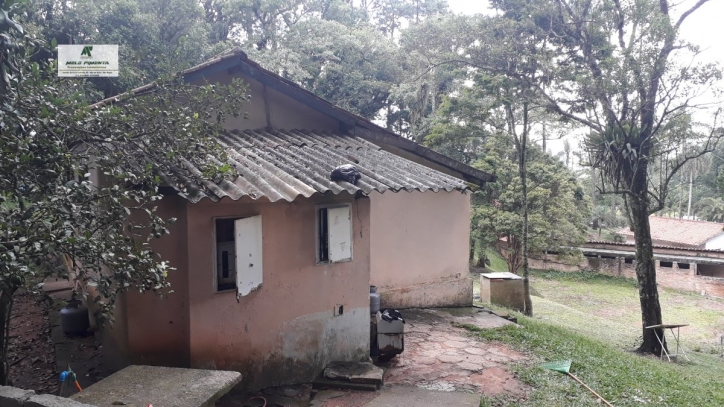 Fazenda à venda com 2 quartos, 6500m² - Foto 7