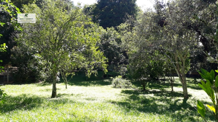 Terreno à venda, 2000m² - Foto 2