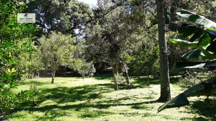 Terreno à venda, 2000m² - Foto 3