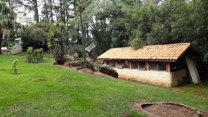 Fazenda à venda com 4 quartos, 17000m² - Foto 3