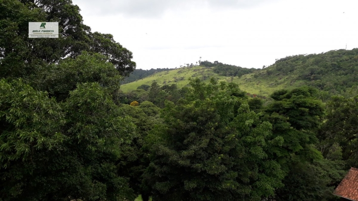 Fazenda à venda com 4 quartos, 17000m² - Foto 19