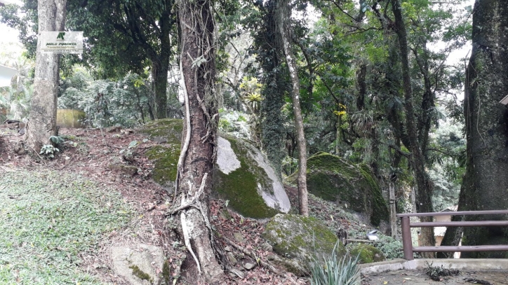 Fazenda à venda com 4 quartos, 17000m² - Foto 28