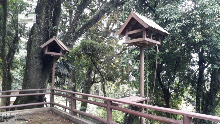 Fazenda à venda com 4 quartos, 17000m² - Foto 29