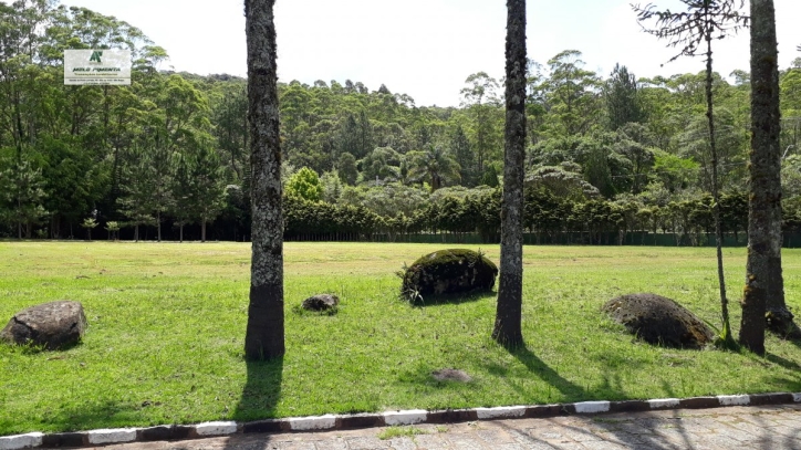 Fazenda à venda com 5 quartos, 121000m² - Foto 5