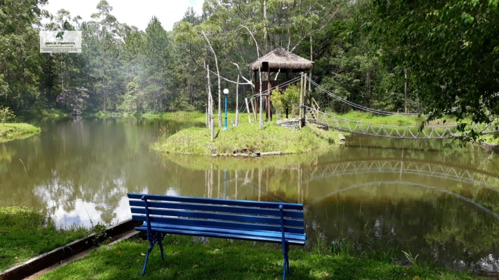 Fazenda à venda com 5 quartos, 121000m² - Foto 9