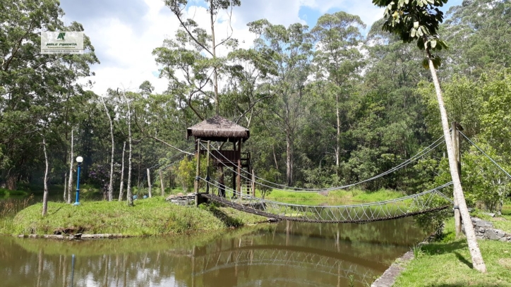 Fazenda à venda com 5 quartos, 121000m² - Foto 13