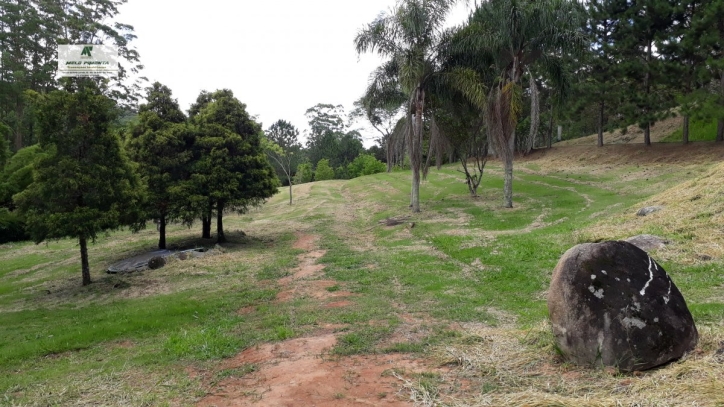 Fazenda à venda com 5 quartos, 121000m² - Foto 15