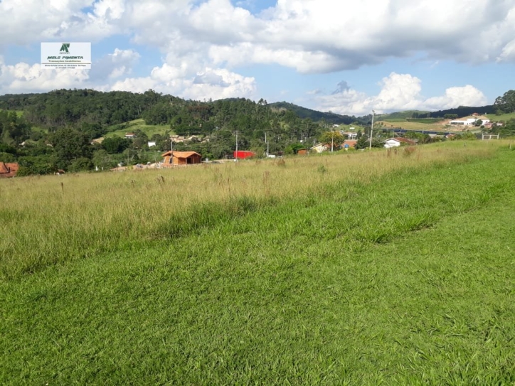 Terreno à venda, 4400m² - Foto 2