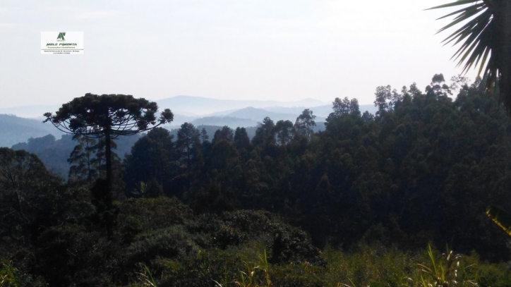 Fazenda à venda com 3 quartos, 50000m² - Foto 2