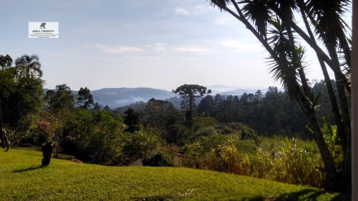 Fazenda à venda com 3 quartos, 50000m² - Foto 9