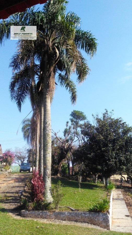 Fazenda à venda com 3 quartos, 50000m² - Foto 11