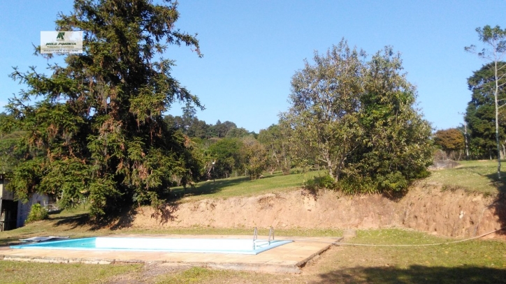 Fazenda à venda com 3 quartos, 50000m² - Foto 12