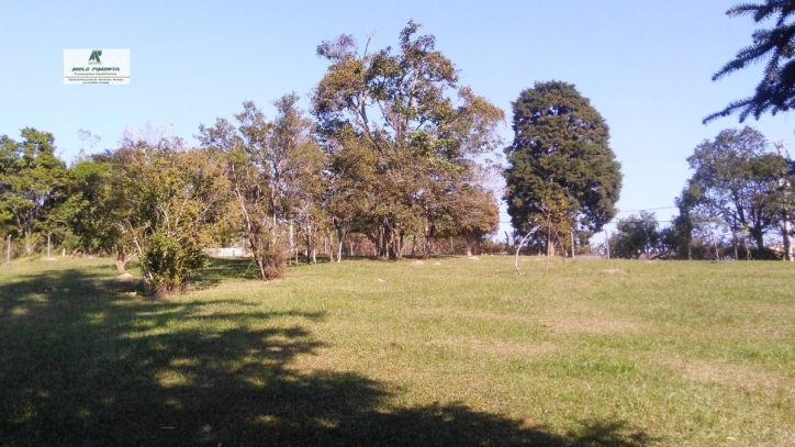 Fazenda à venda com 3 quartos, 50000m² - Foto 13