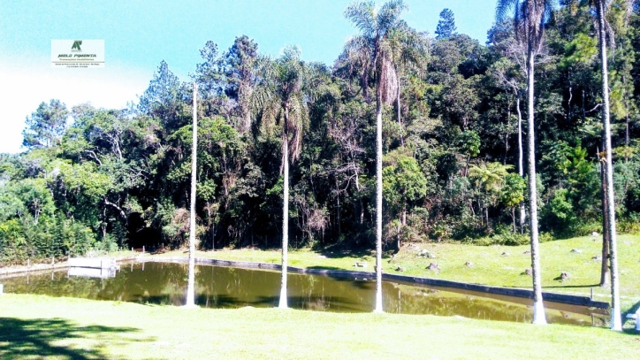 Fazenda à venda com 3 quartos, 121000m² - Foto 2