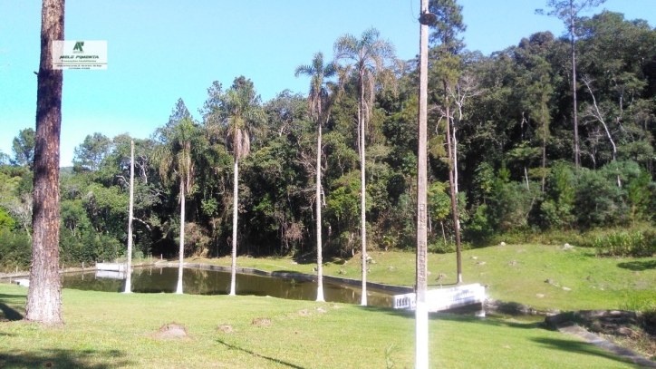 Fazenda à venda com 3 quartos, 121000m² - Foto 7