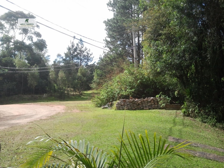 Fazenda à venda com 4 quartos, 2940m² - Foto 2