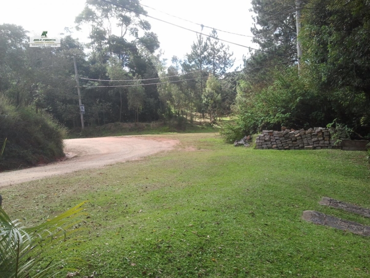 Fazenda à venda com 4 quartos, 2940m² - Foto 3