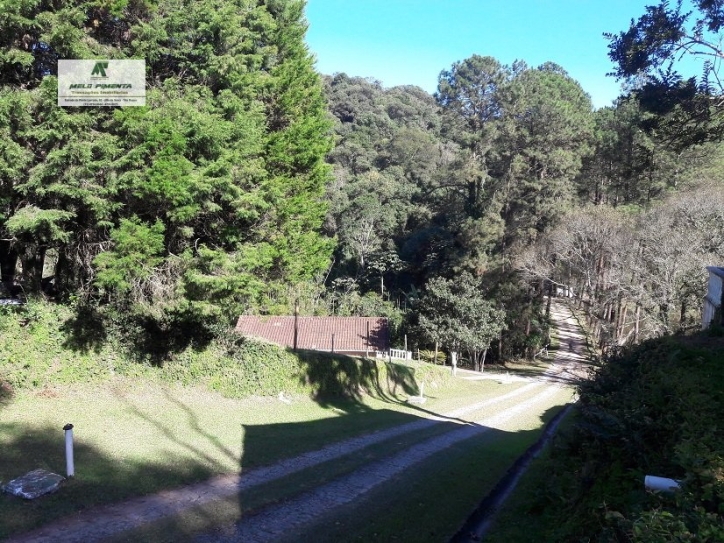 Fazenda à venda e aluguel com 10 quartos, 198000m² - Foto 15