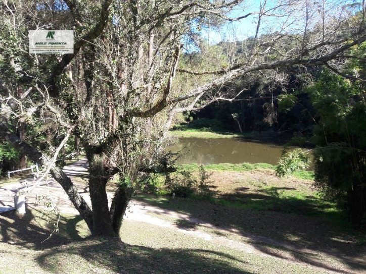 Fazenda à venda e aluguel com 10 quartos, 198000m² - Foto 19