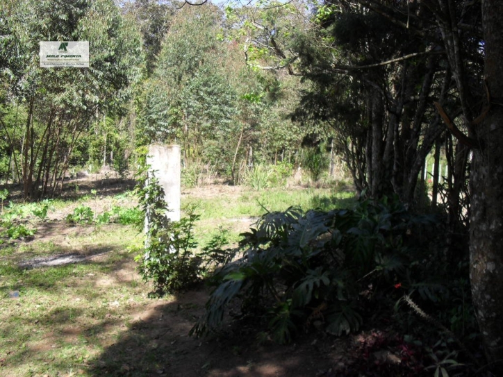 Fazenda à venda com 3 quartos, 300m² - Foto 17