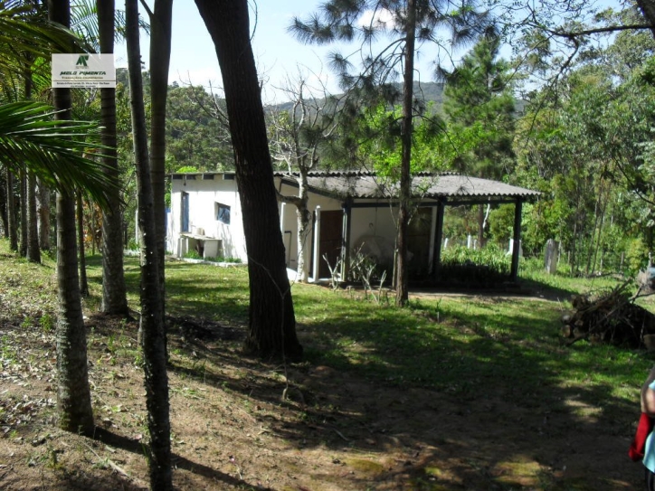 Fazenda à venda com 3 quartos, 300m² - Foto 19