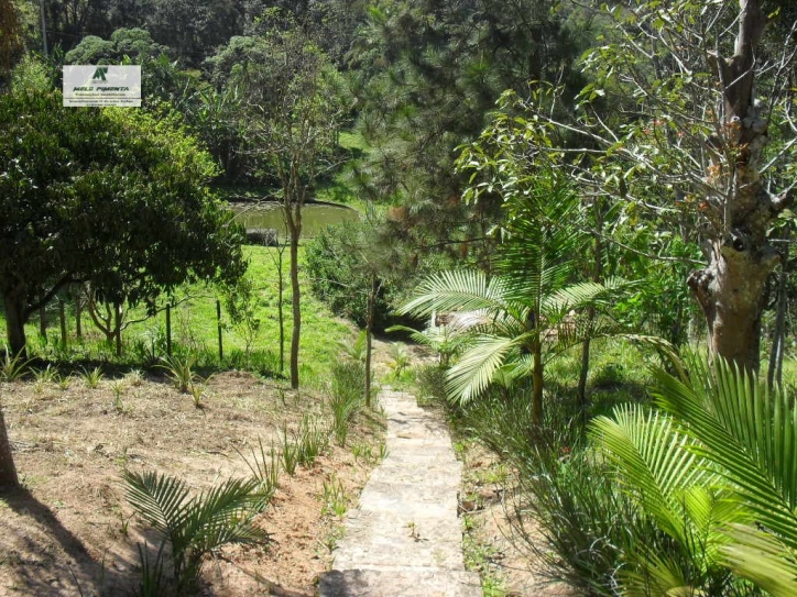 Fazenda à venda com 3 quartos, 300m² - Foto 20