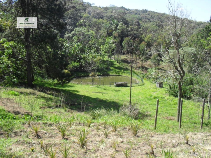 Fazenda à venda com 3 quartos, 300m² - Foto 21