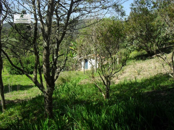 Fazenda à venda com 3 quartos, 300m² - Foto 24