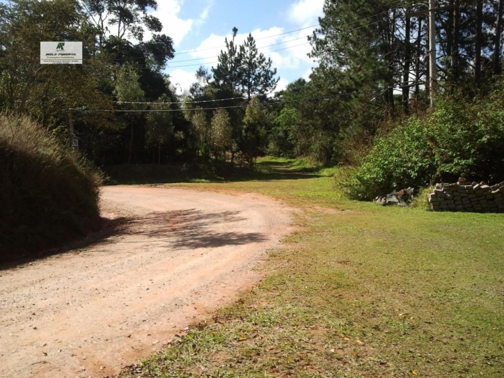 Fazenda à venda com 3 quartos, 2700m² - Foto 13