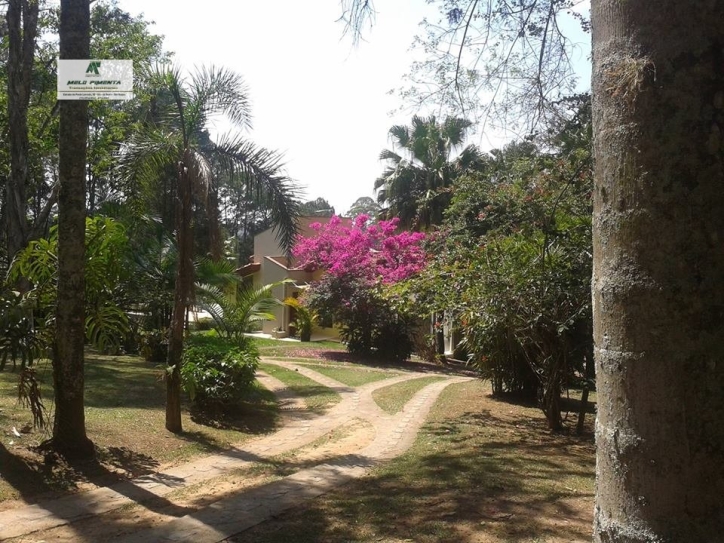 Fazenda à venda com 4 quartos, 19000m² - Foto 6