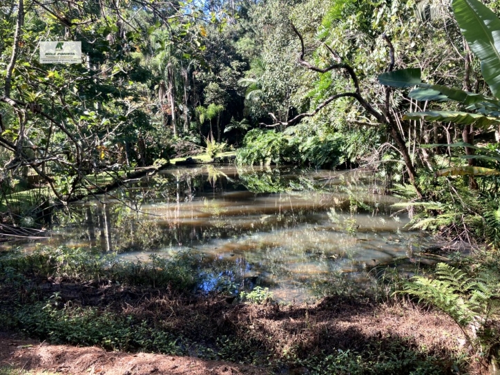 Fazenda à venda com 4 quartos, 19000m² - Foto 8