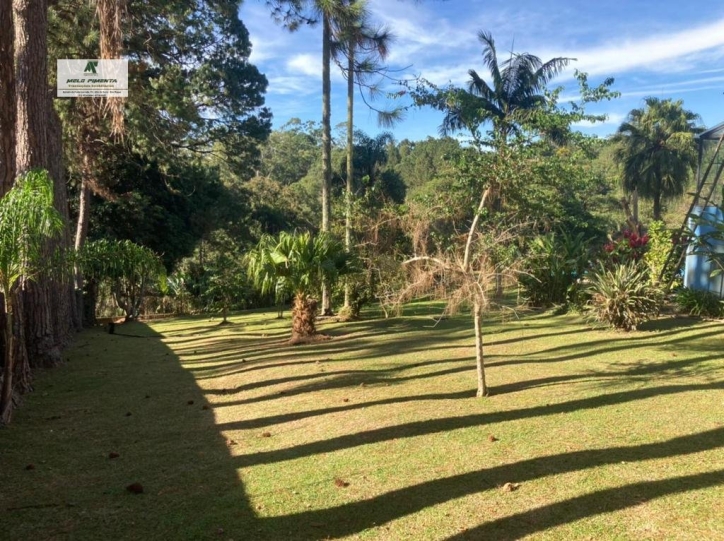 Fazenda à venda com 4 quartos, 19000m² - Foto 23