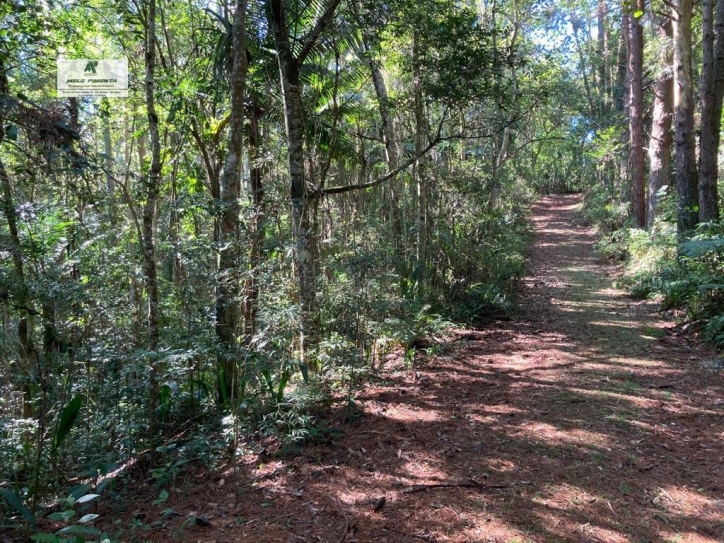 Fazenda à venda com 4 quartos, 19000m² - Foto 24