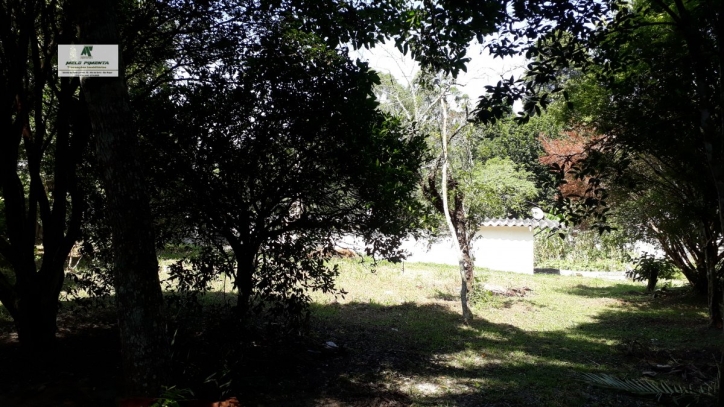 Fazenda à venda com 3 quartos, 1700m² - Foto 6