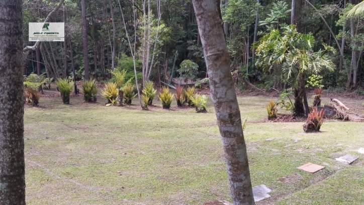 Fazenda à venda com 4 quartos, 19000m² - Foto 27