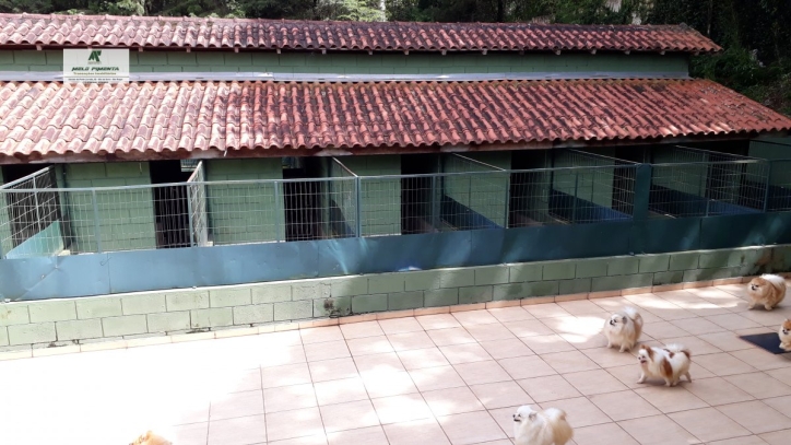 Fazenda à venda com 5 quartos, 7000m² - Foto 13