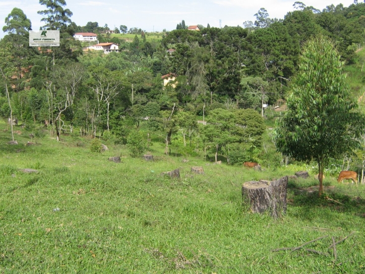 Terreno à venda, 11280m² - Foto 4