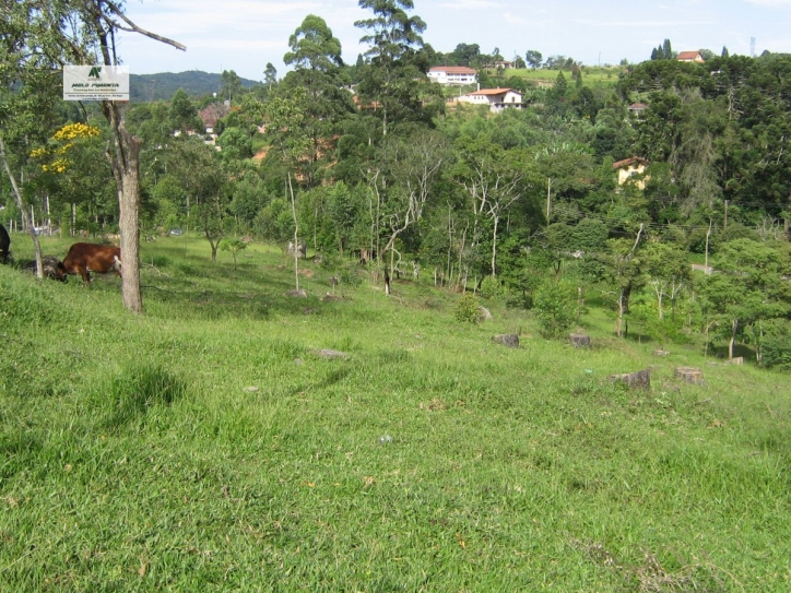 Terreno à venda, 11280m² - Foto 10