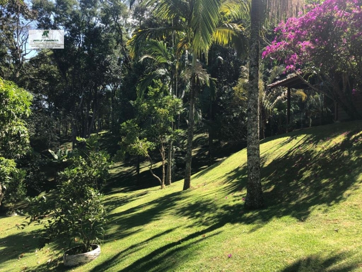 Fazenda à venda com 6 quartos, 25000m² - Foto 7