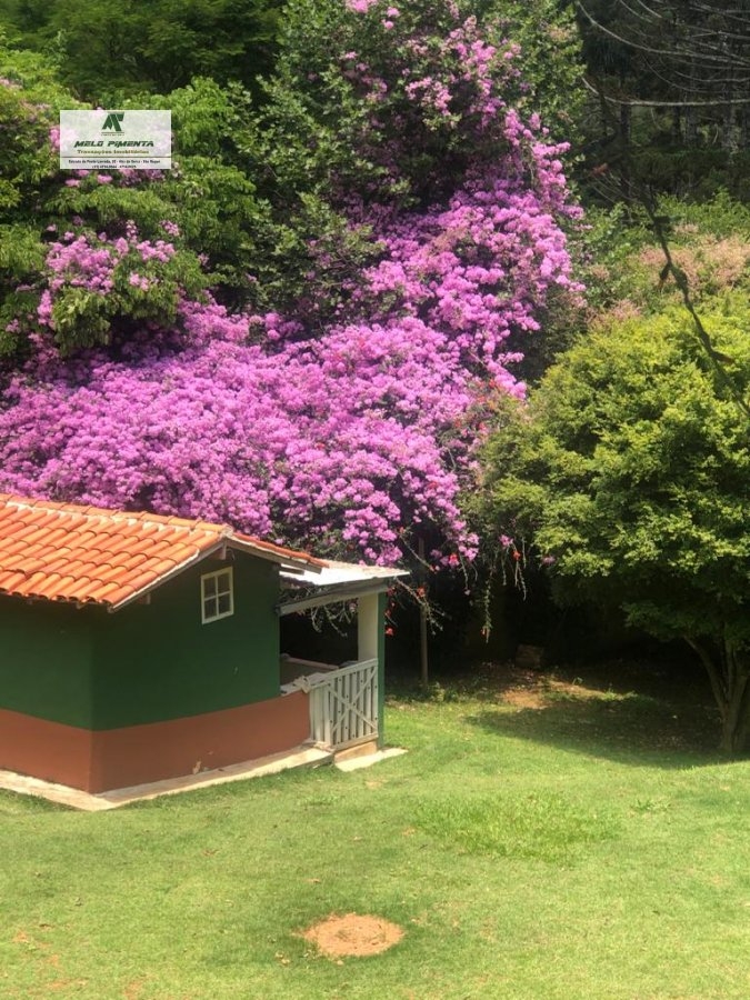 Fazenda à venda com 6 quartos, 25000m² - Foto 19