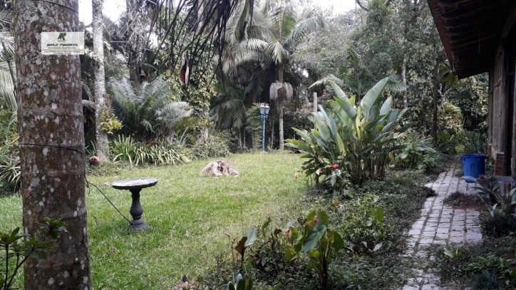 Fazenda à venda com 4 quartos, 5000m² - Foto 3